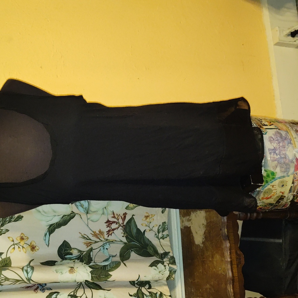 Black dress,with sheer black trim.sleeveless